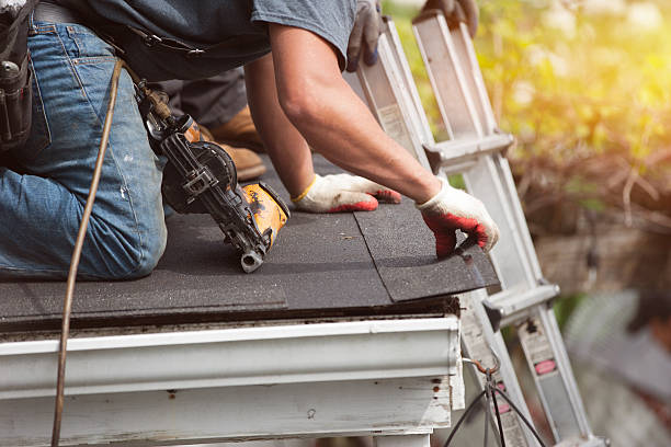 Best Metal Roofing Contractor  in Laurel Hill, NC